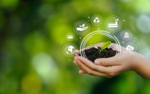 Social Responsibility