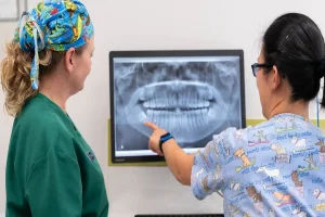 General Dental Checkups