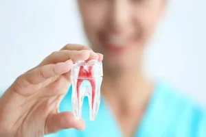 Preventing Tooth Loss