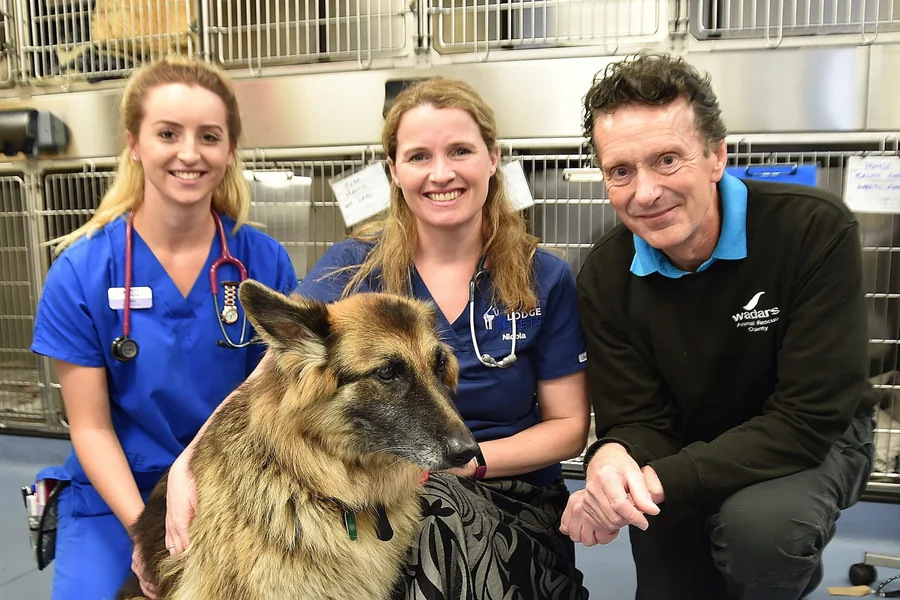 Veterinary Hospitals